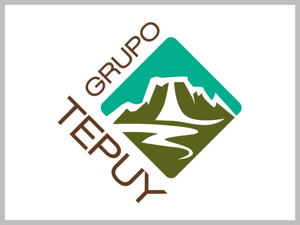 logo tepuy